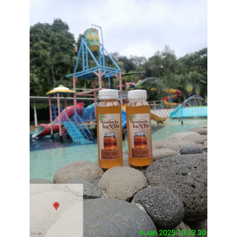 

Buy 1 get 1 Kombucha Bunda Minuman probiotik alami