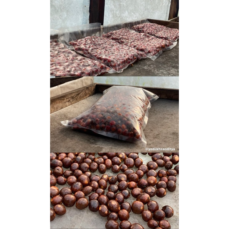 

KOPI LOKAL ARABIKA ASLI LERENG GUNUNG ARJUNO PRIGEN, JAWA TIMUR