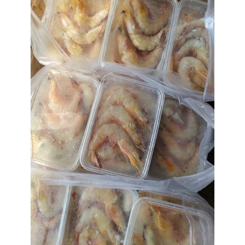 

Udang White Jumbo +-500gr