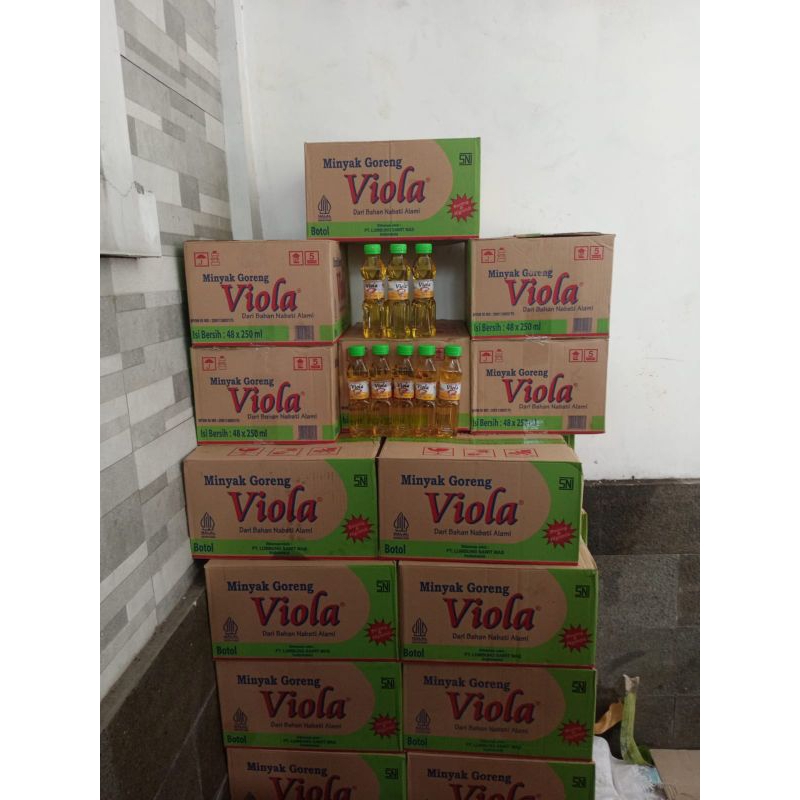 

VIOLA 250 ML(48) 2DUS
