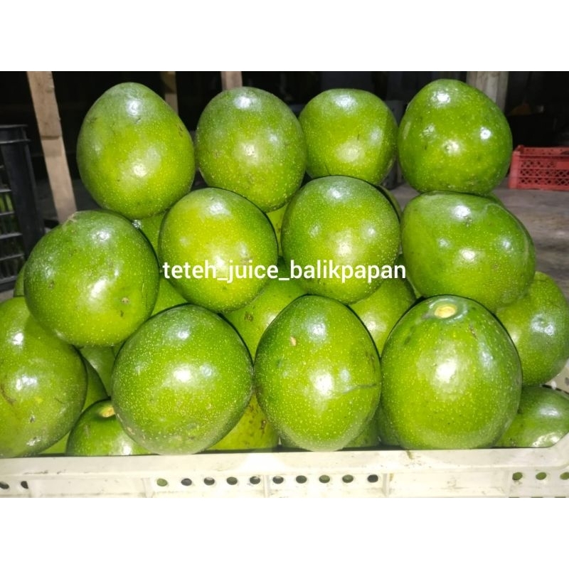 

ALPUKAT MIKI 1 KG NAIK 2 3 4 TERMURAH VARIETAS SUPER PREMIUM (KHUSUS LUAR BALIKPAPAN)