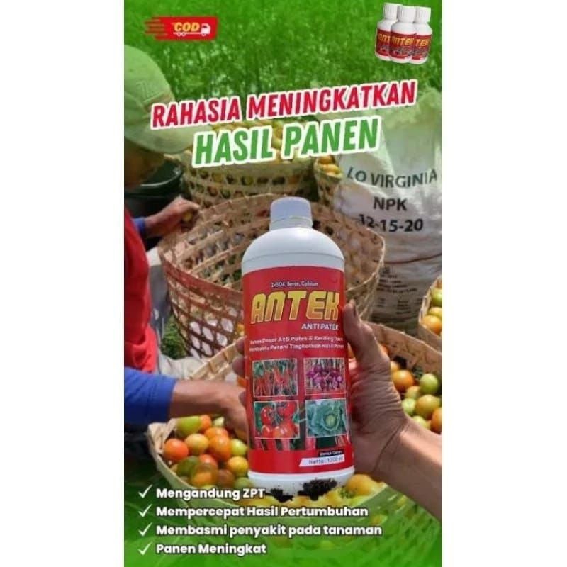 Pupuk Antek 1Ltr Anti Patek dan Keriting Daun Paling Ampuh Untuk Tanaman Cabe Keriting