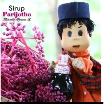 

Syrup PROMIL PARIJOTO ASLI GUNUNG MURIA SIRUP PENYUBUR KANDUNGAN