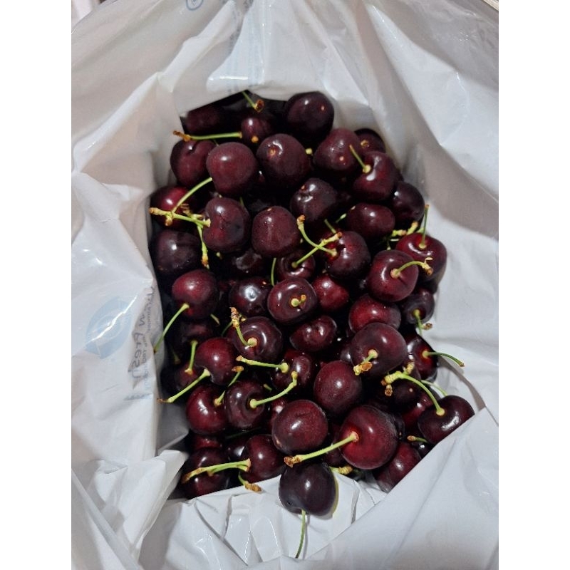 cherry tasmanian