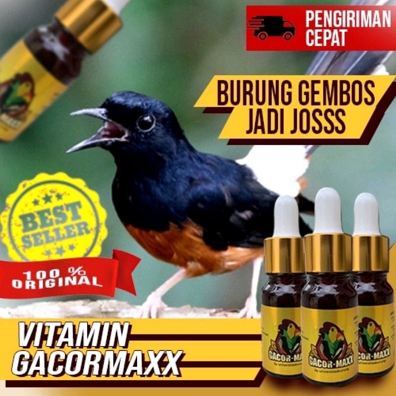 VITAMIN GACOR MAXX  gacormaxx gacormax PENGGACOR MAXSIMAL UNTUK SEMUA BURUNG KICAU
