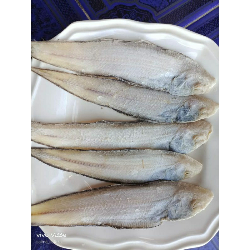 

Ikan Asin Lidah Super 100 gram