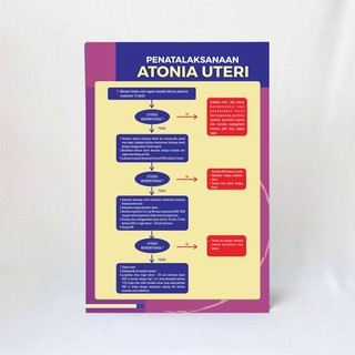 Poster Kebidanan : Penatalaksanaan Atonia Uteri, Poster Alur Praktek Bidan