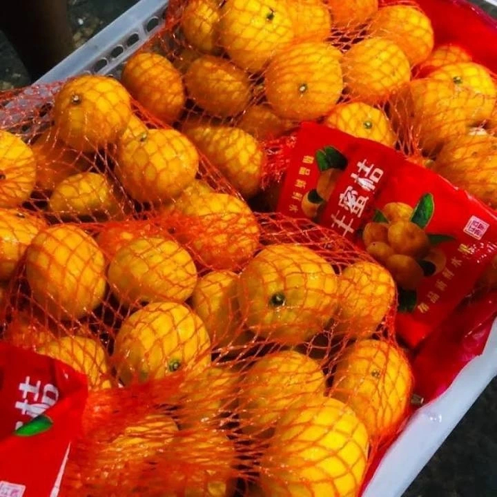 

Jeruk Santang Madu Daun GUNDUL Shantang Orange Import 1 krat 6 kg