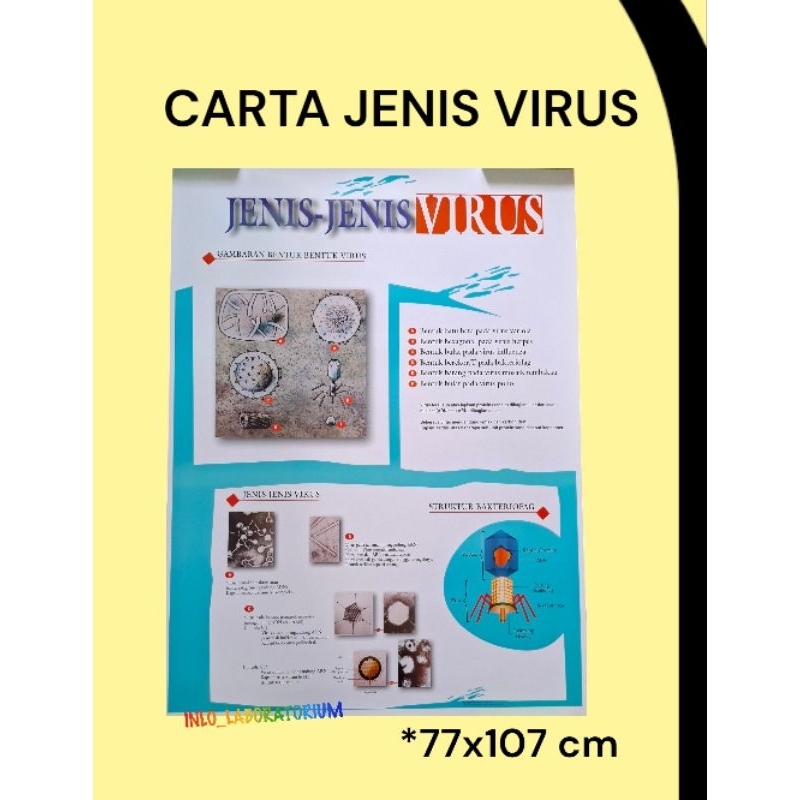 

Carta Jenis-Jenis Virus/Poster Jenis-Jenis Virus