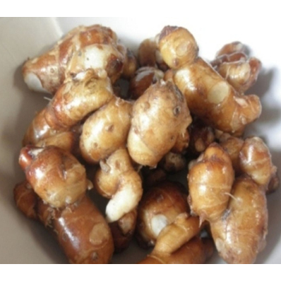 

Kencur Segar / Kencur Fresh 1 Kg / Cikur Berkualitas