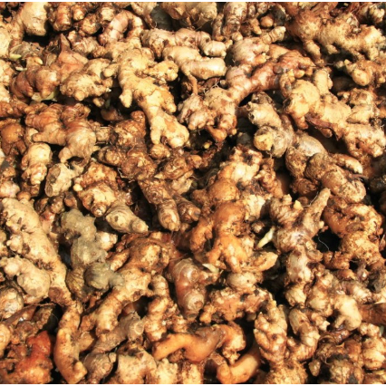 

Jahe Emprit Jawa Fresh 1Kg Berkualitas