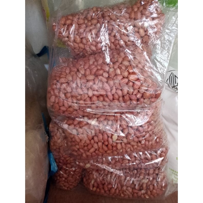 

kacang tanah