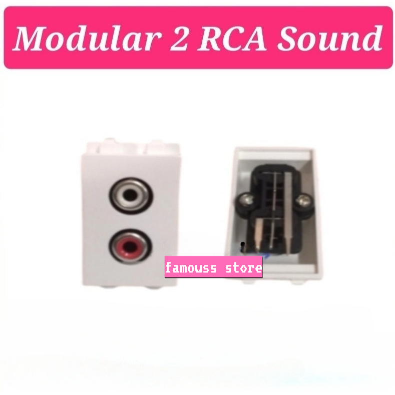Modular 2 RCA Sound Floor Socket