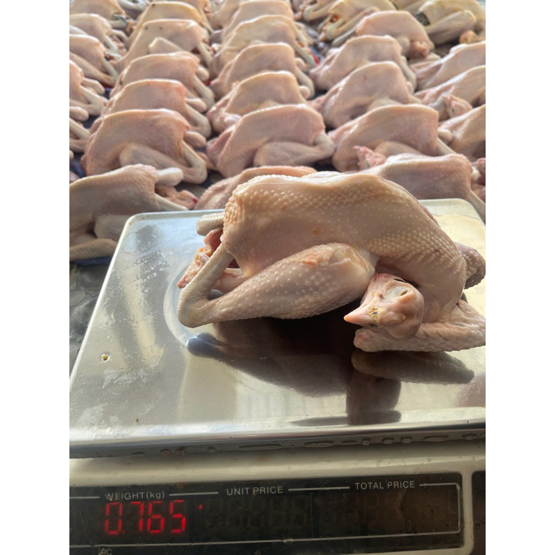 

Ayam kampung asli 700-800 gr