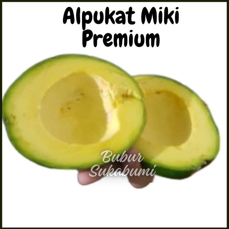 

Alpukat Miki Premium 1 kg 2-3 buah Enak dan Pulen