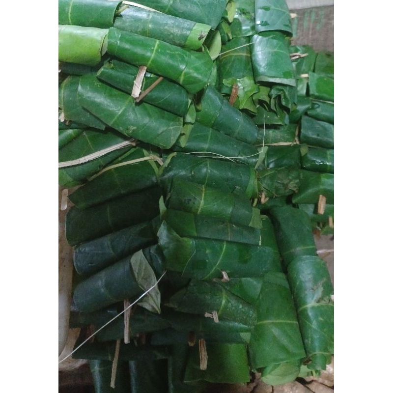 

EKONOMIS: Daun Salam Segar Bay Leaf Fresh Per Tusuk Murah Bumbu Dapur Herbal Rempah-rempah Empon-empon