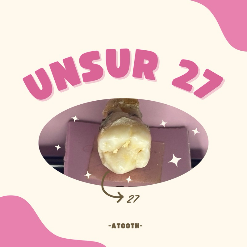 Unsur Gigi praktikum 27