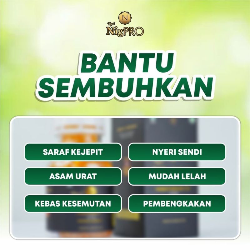 Nigpro Habbatussauda isi 200 kapsul