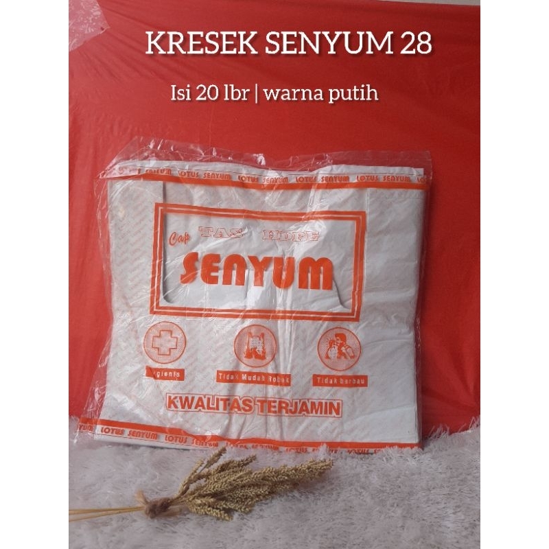 [ISI 20 LBR] KRESEK SENYUM PUTIH 28 / KRESEK BUNGKUS