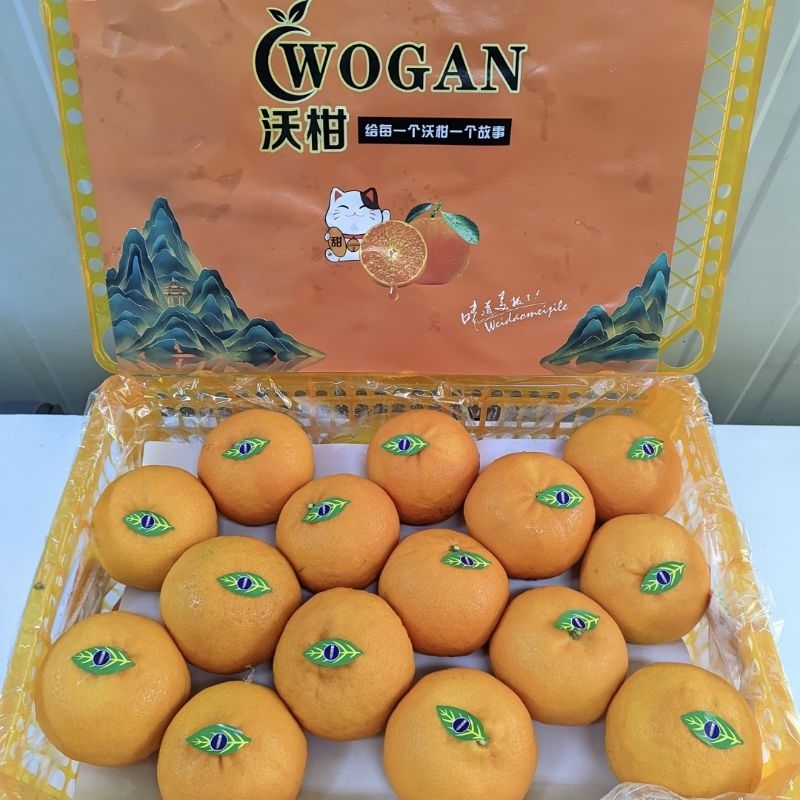 

Jeruk wogan 500 gram