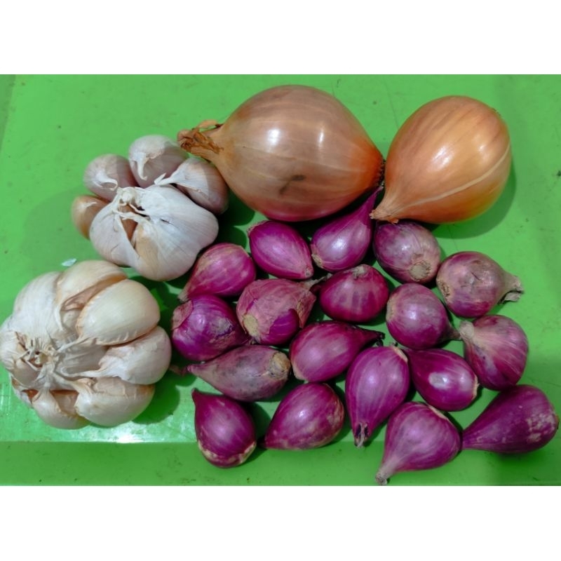 

Bawang 1 ons (bawang merah, bawang putih, bombay)