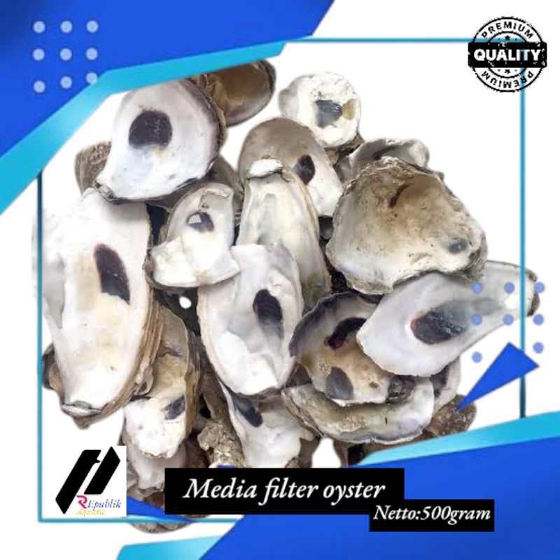 Oyster 500 gram / oyster / kerang oyster / cangkang oyster / media filter / media filter koi / media