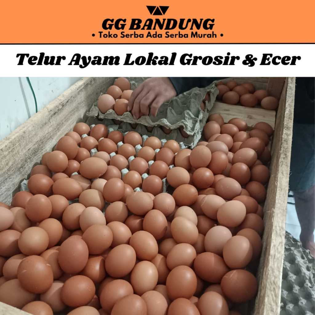 

Telur Ayam Lokal Fresh I Premium Sortir I Untuk Omelette, Bakso, Seblak, Sosis DLL