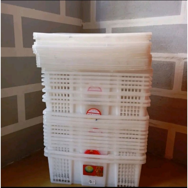 KERANJANG BUAH BEKAS TANPA TUTUP