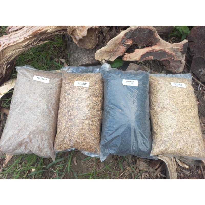 ANEKA MEDIA TANAM SEKAM PADI, SEKAM MENTAH, SEKAM FERMENTASI, SEKAM SANGRAI OVEN, SEKAM BAKAR 500 GR
