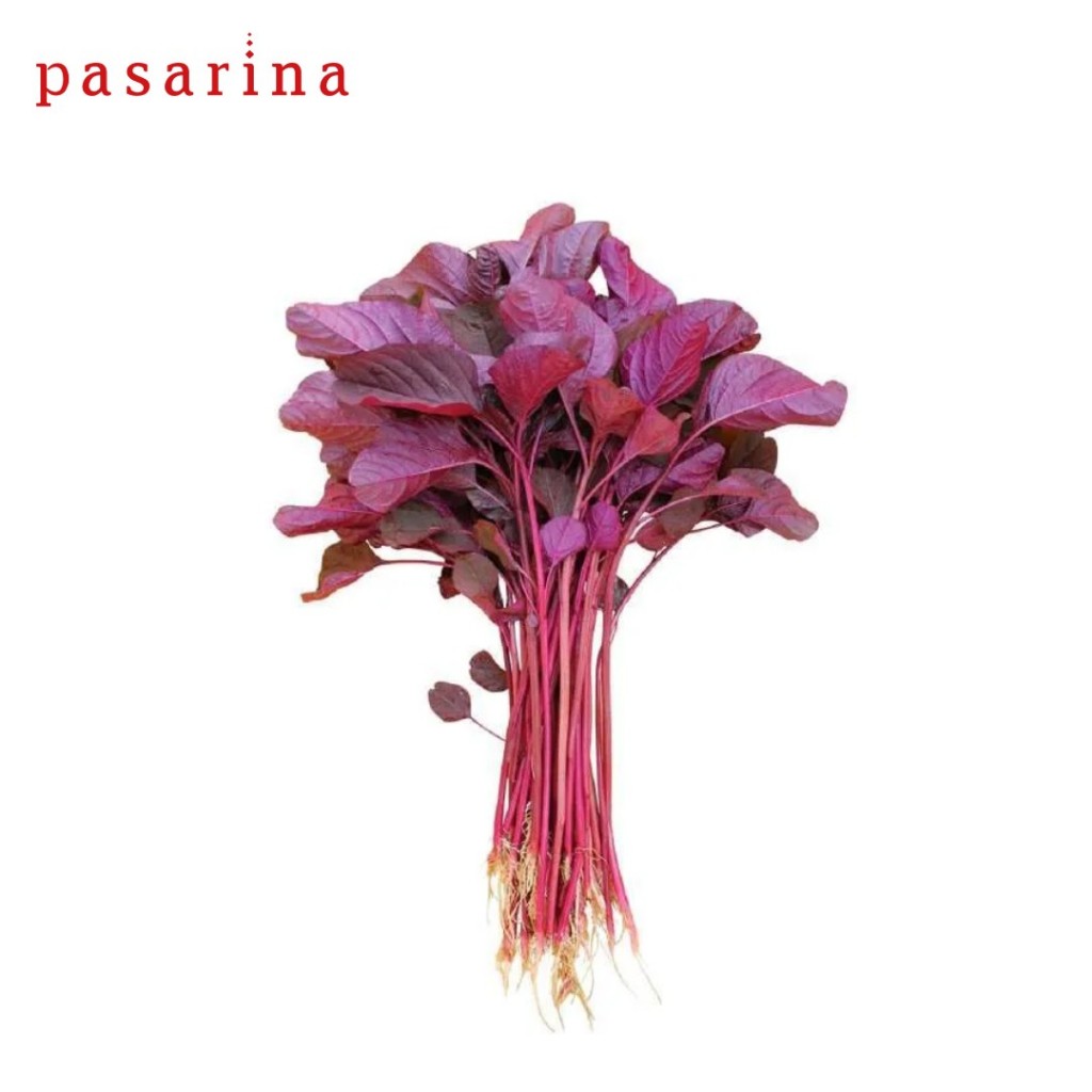 

Bayam Merah Organic Red Spinach per ikat