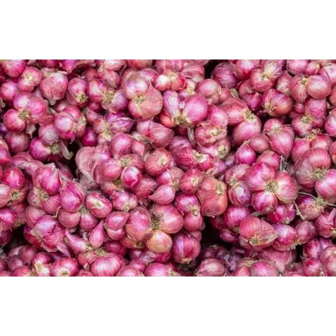 

Bawang Merah Fresh Asli