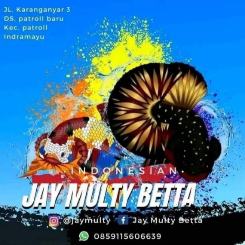 

Telur Mentah Jay Multi Betta