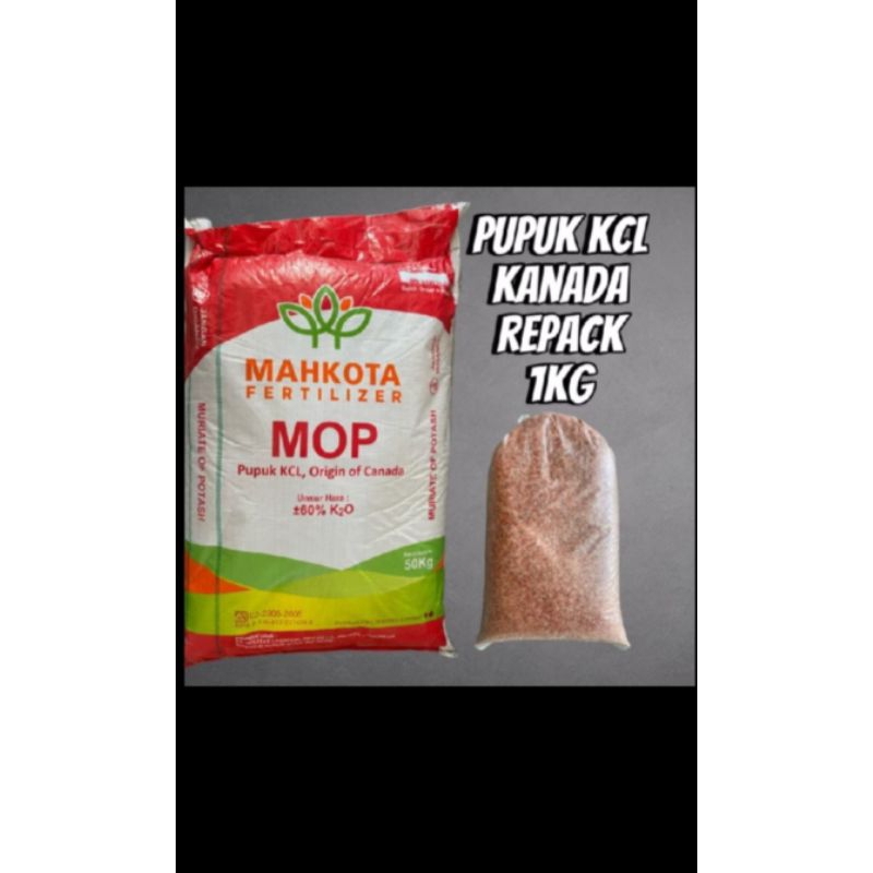 Mahkota Fertilizer MOP Pupuk KCL, repack 1kg