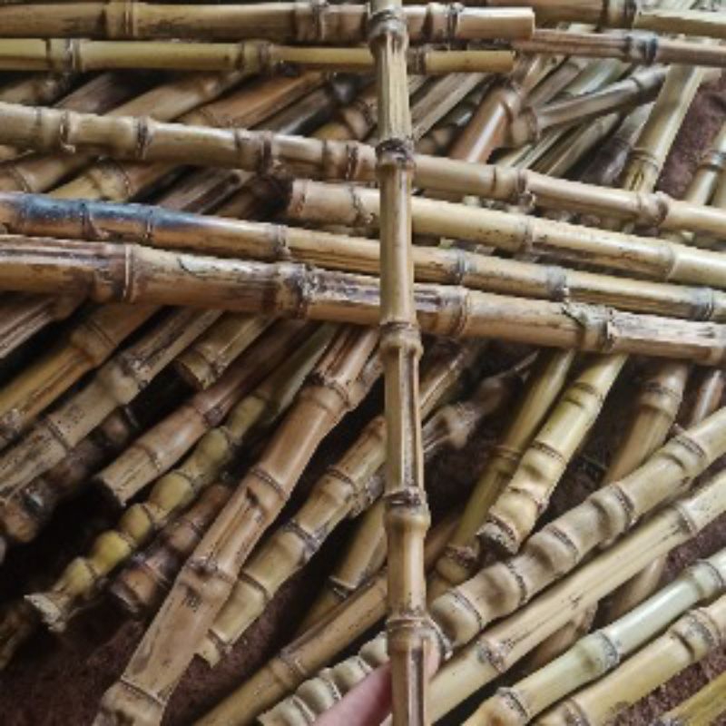 Gagang/Pegangan Joran Bambu Cendani Asli 50cm