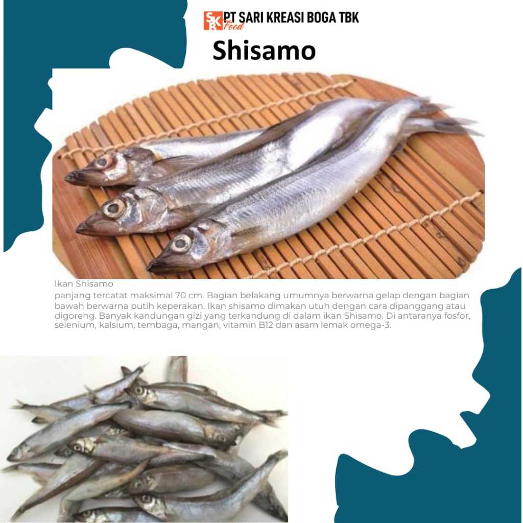 

IKAN SHISAMO PER PACK
