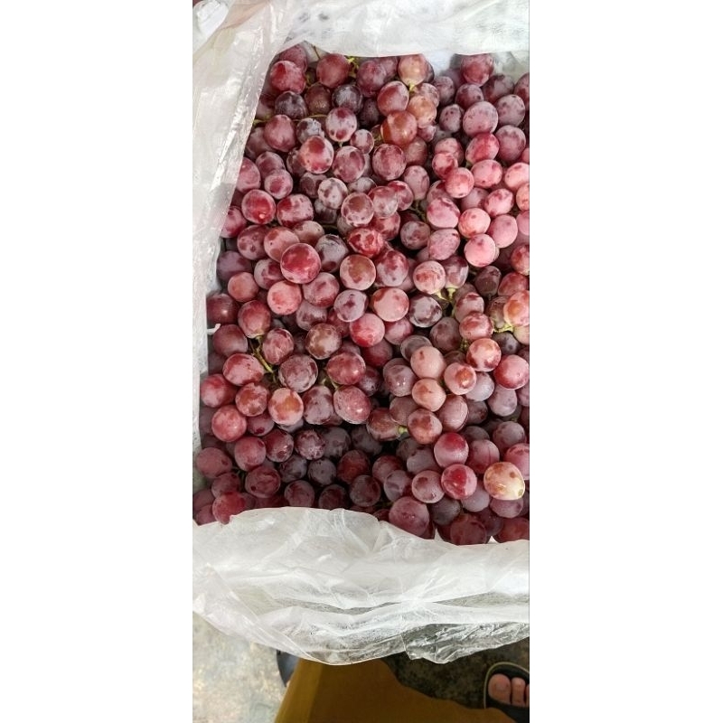 

Buah import segar