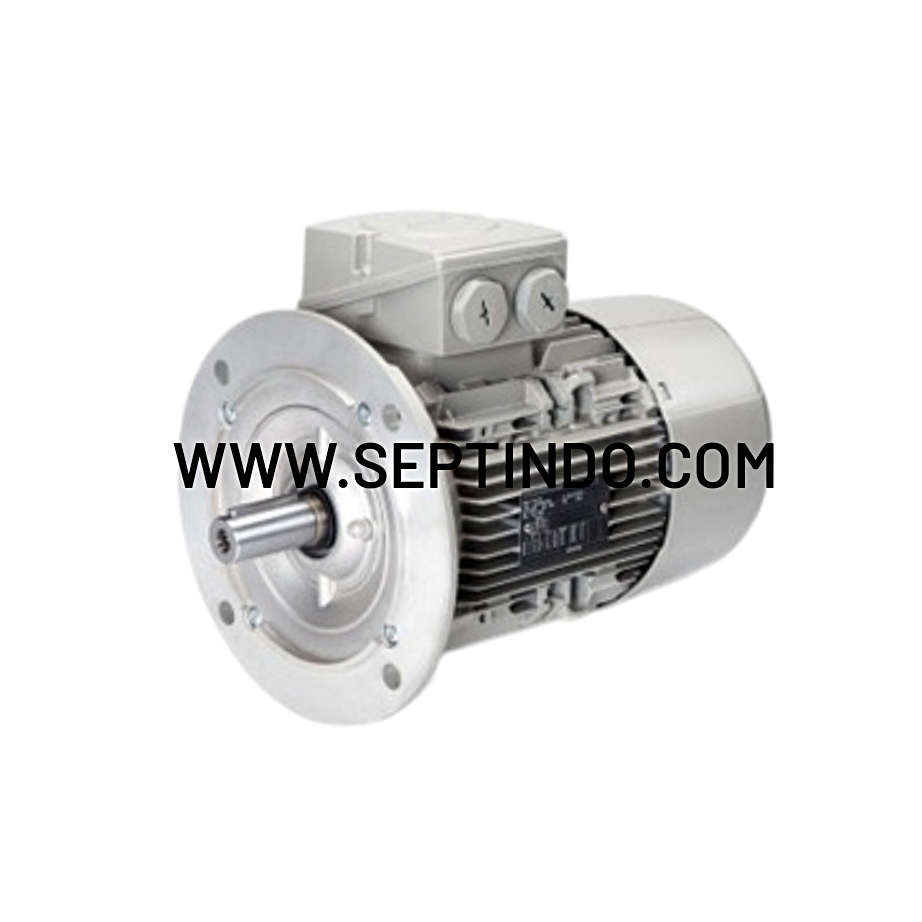 Siemens Motor 22KW 30HP 3000 RPM ,1500 RPM ,1000 RPM B5
