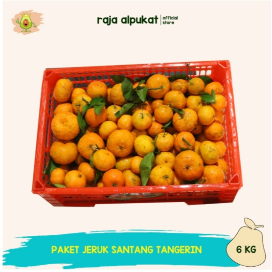 

Grosir Jeruk Santang Madu Orange 1 Krat (6 Kg)