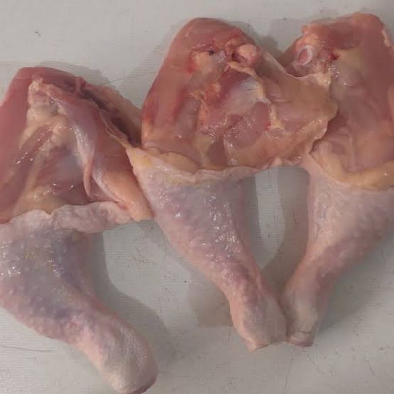 

ayam paha L