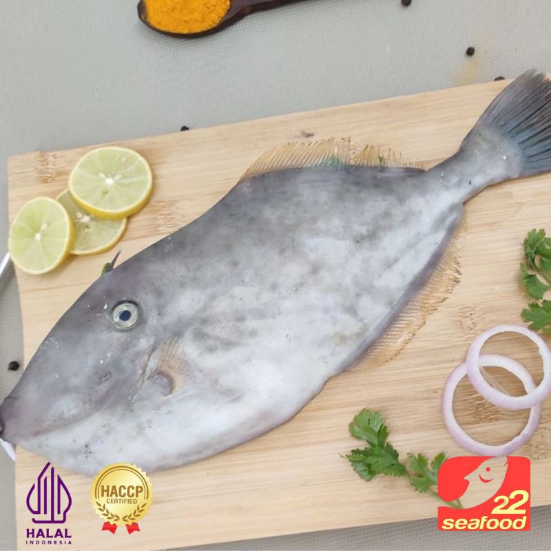 

Ikan Ayam Ayam 1 kg / Frozen Leather Jacket / Seafood 22