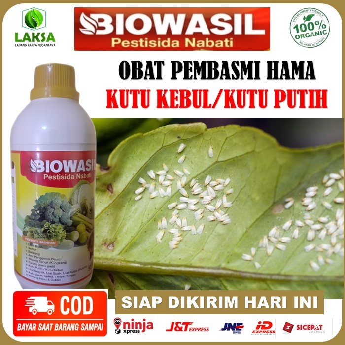Pestisida Nabati Biowasil Pembasmi Hama Kutu Kebul/Kutu daun - Obat semprot Atasi Kutu Kebul, Kutu P