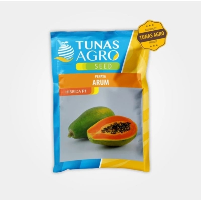 PEPAYA ARUM || TIPE HAWAI || TUNAS AGRO