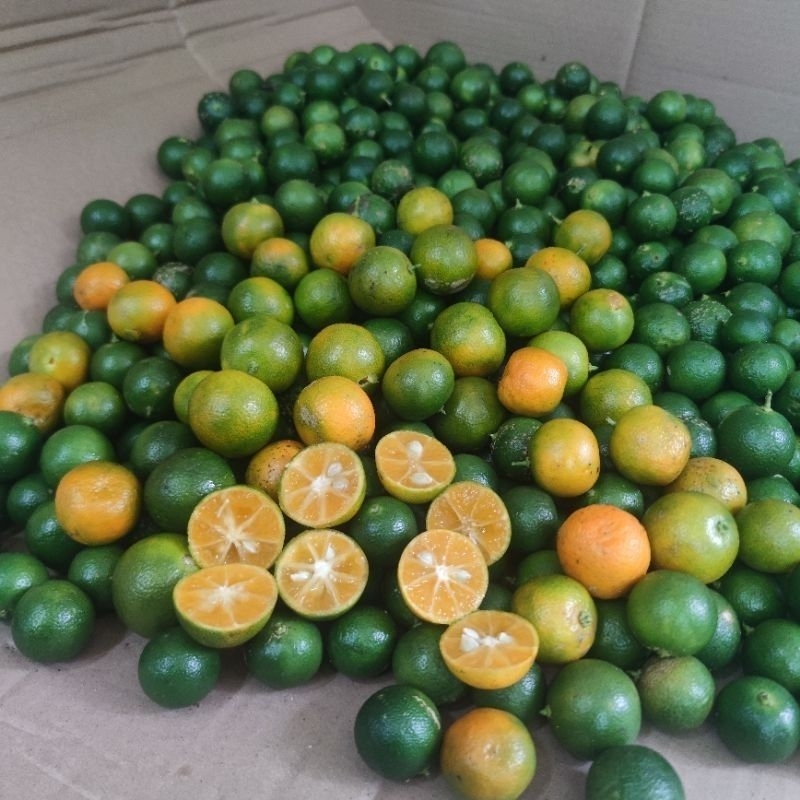 

JERUK PERAS/SUNKIS TERMURAH DI SHOPEE