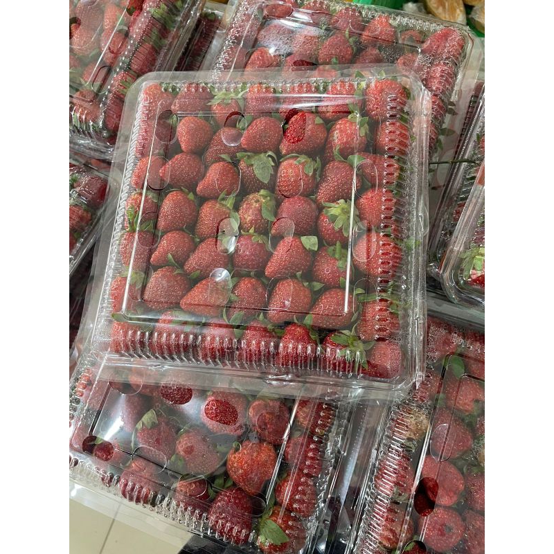 

Strawberry Fresh 1kg