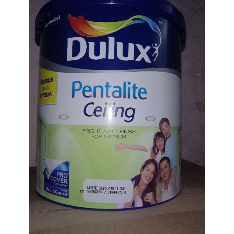 Dulux pentalite ceiling 5kg