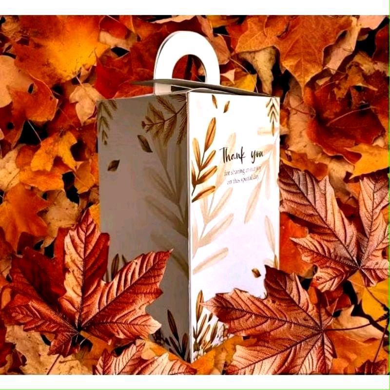 S (S50) BOX IVORY UNTUK SOUVENIR GELAS