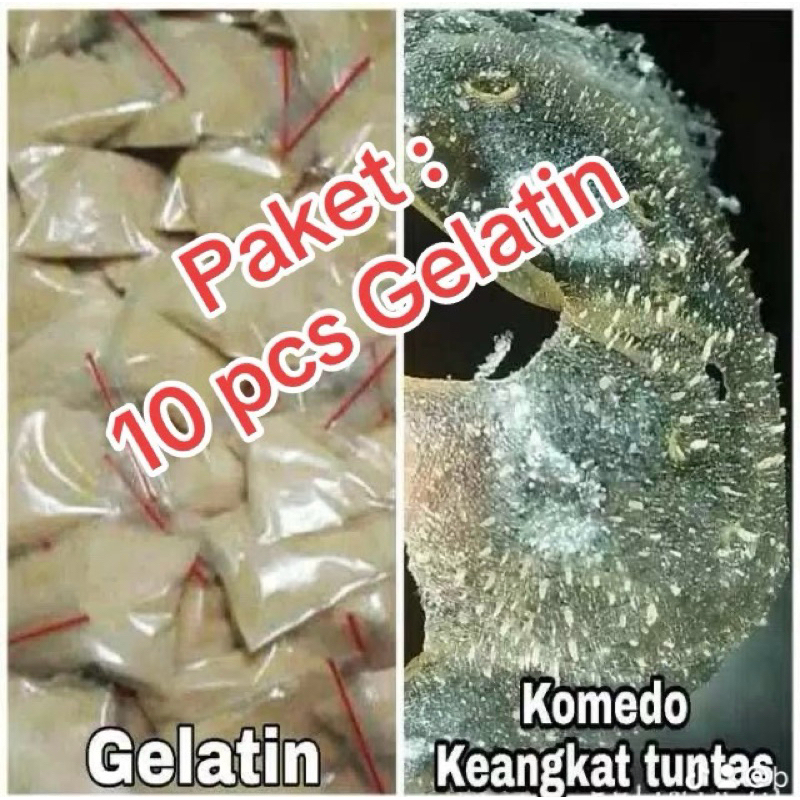 Masker Komedo Gelatin / Gelatin Mask BPOM