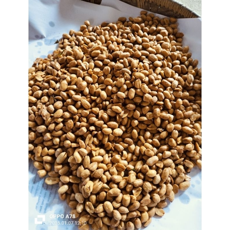 

kacang bawang 1kg gurih renyah