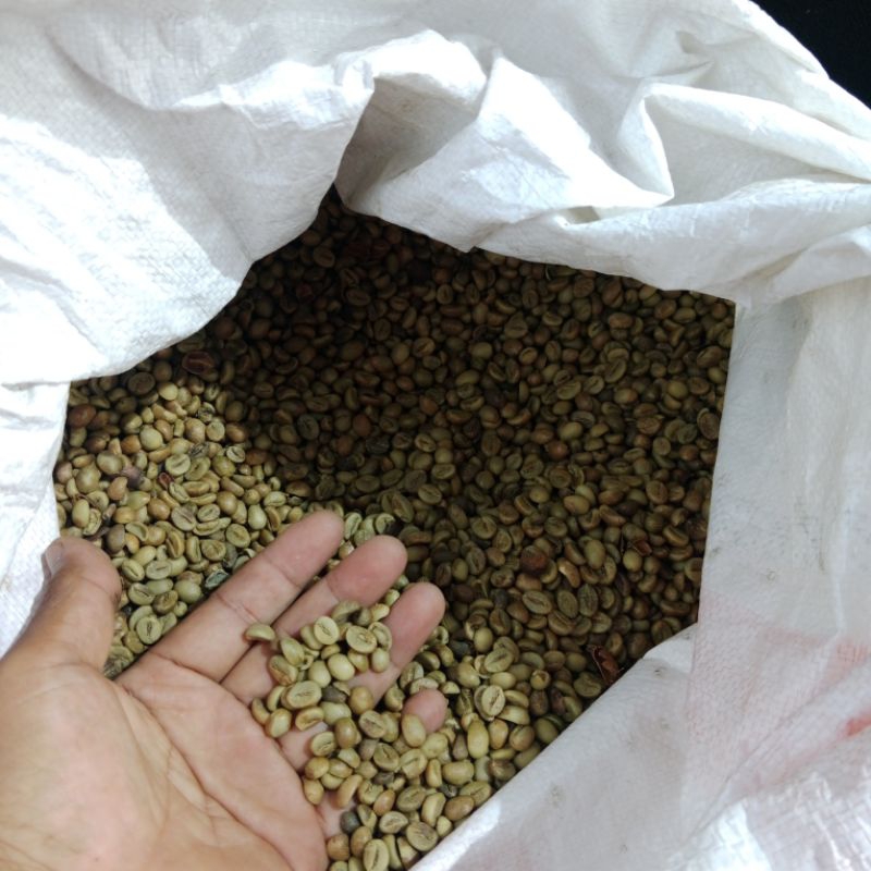 

kopi robusta green beans asalan, 1kg (TEMANGGUNG)
