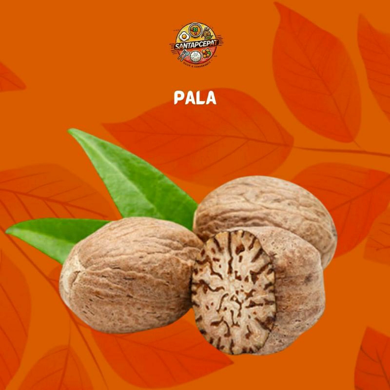 

Bumbu Rempah Pala 1 biji– Cita Rasa Hangat untuk Hidangan Berkualitas